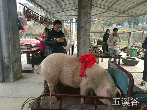 特色年會(huì)5