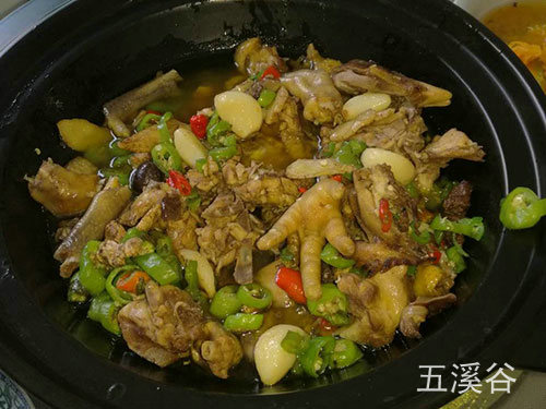 農(nóng)家土雞