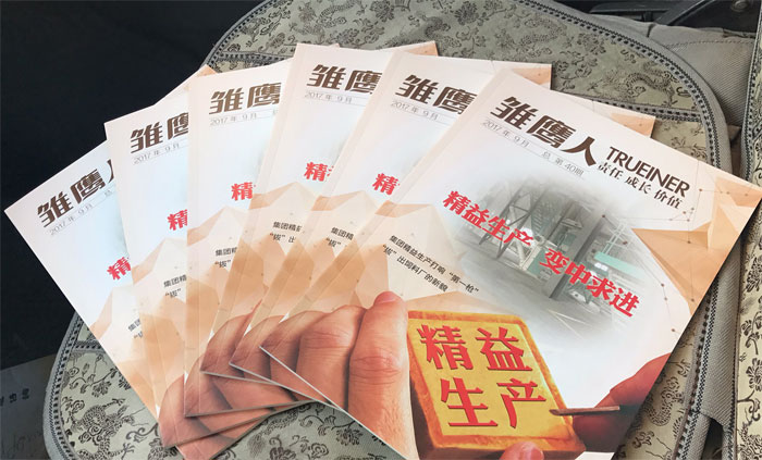 雛鷹人系列期刊畫冊2