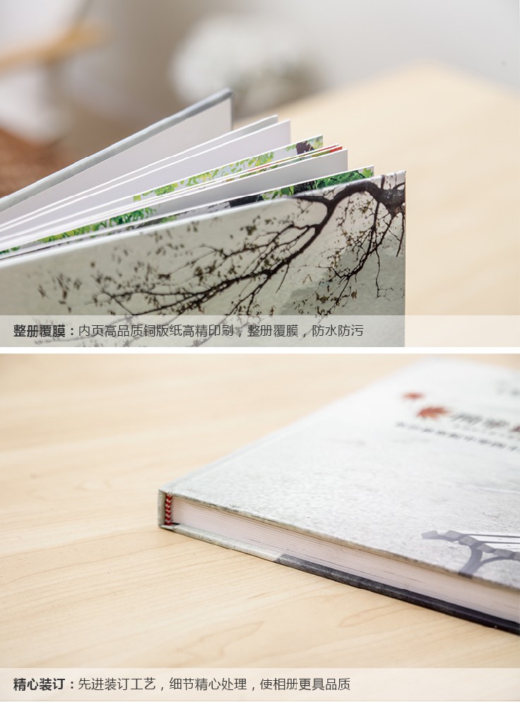 企業(yè)宣傳冊印刷